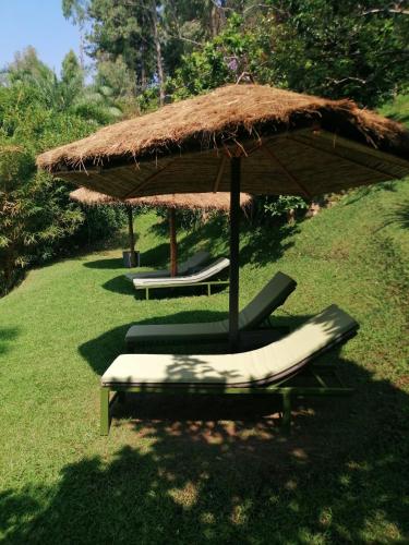 two lounge chairs under a straw umbrella on the grass at Inn on the lake in Kibuye