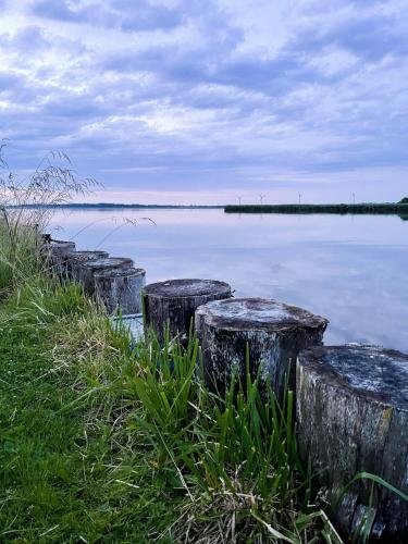 a group of wooden posts in the water at Protected Fjord Cabin With Fjord Views in Randers