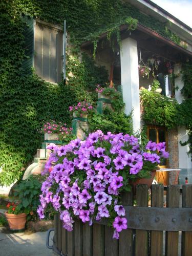 Zahrada ubytování Cascina Beneficio
