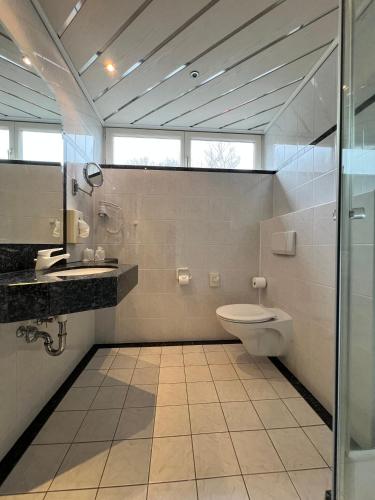 a bathroom with a toilet and a sink at PANORAMA Hotel Heimbuchenthal in Heimbuchenthal