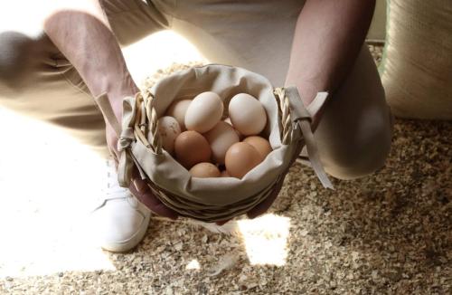 Φωτογραφία από το άλμπουμ του Cedars Old Lebanese Traditional House στο Μπατρούν