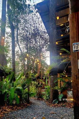 a garden with trees and plants in a building at Koon Hom Apartment in Ban Dung