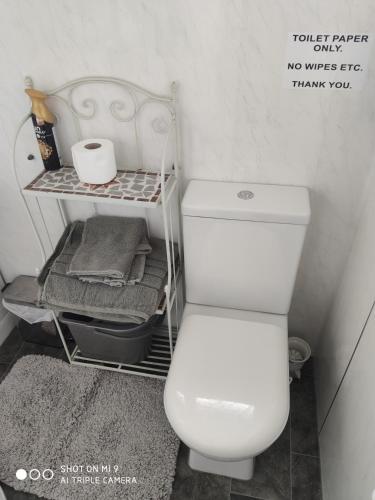 a bathroom with a white toilet and a shelf at Quiet 6 berth pet friendly chalet near beach in Mablethorpe