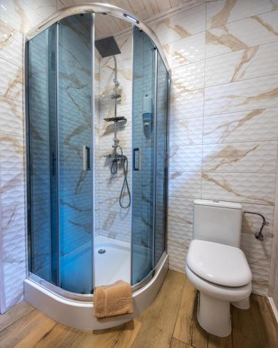a bathroom with a toilet and a shower at Łejkówka in Wólka Magierowa