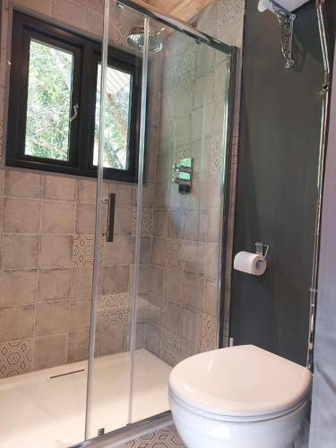 une salle de bain avec toilettes et douche en verre dans l'établissement Roulotte, à Cassagnes-Bégonhès
