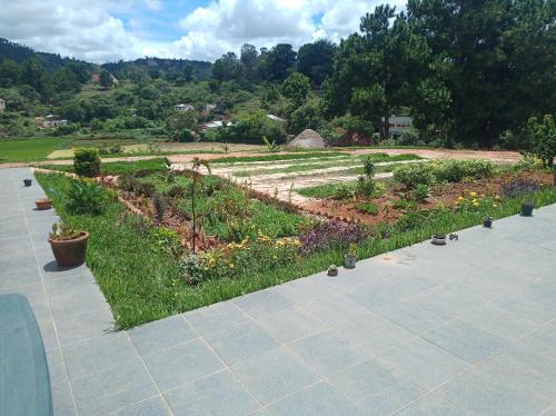 Un jardín con plantas y flores en un patio. en Rainbow Sky, en Antananarivo
