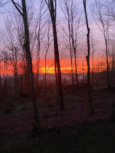 a sunset in the woods with trees in the foreground at Les Eaux Vives in Manaurie