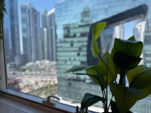 a plant in a window with a view of a city at ASHRI HH, Bohemian Style Condo in Downtown in Dubai