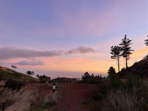 a dirt road with trees on a hill with a sunset at Mountain Eco Shelter 3 in Corujeira de Dentro