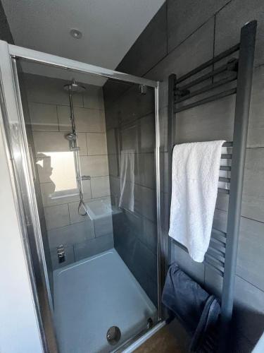 a shower with a glass door in a bathroom at Gorgeous 1 bedroom property, close walk to Goodrington beach in Paignton