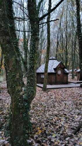Foto dalla galleria di Le Domaine Insolite de Brocéliande a Paimpont