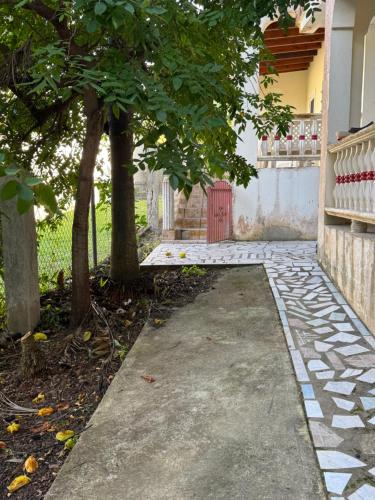 a walkway in front of a house with a tree at Cotton Heights Guest House in Nevis