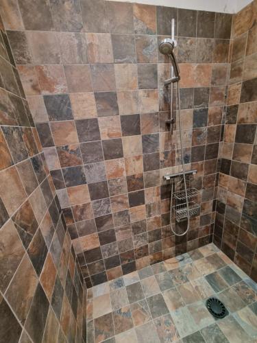 La salle de bains est pourvue d'une douche avec du carrelage brun. dans l'établissement Villa Suberaie, au Plan-de-la-Tour