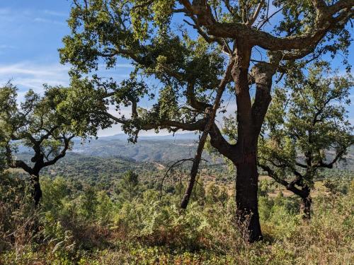a view of the mountains from a hill with trees at Pura Vida Alentejo by Portus Alacer in Gavião