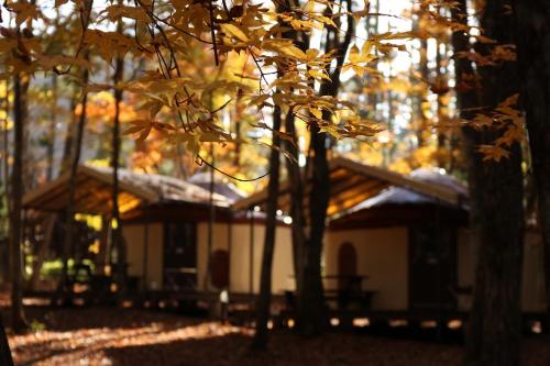 a building in the middle of a forest with trees at PICA Fujiyoshida in Fujiyoshida
