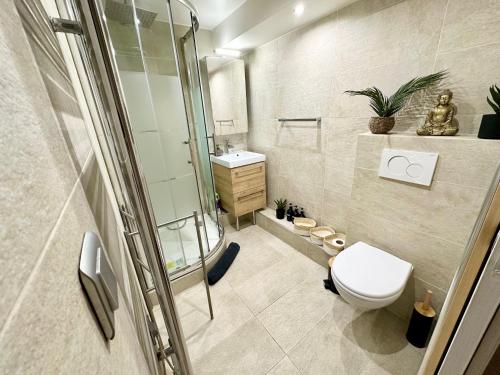une salle de bain avec toilettes, douche et lavabo dans l'établissement MAGNIFIQUE 5 PIECES, à Paris