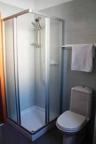 a bathroom with a shower and a toilet at Apartments Residence L'Ulivo in Rovinj