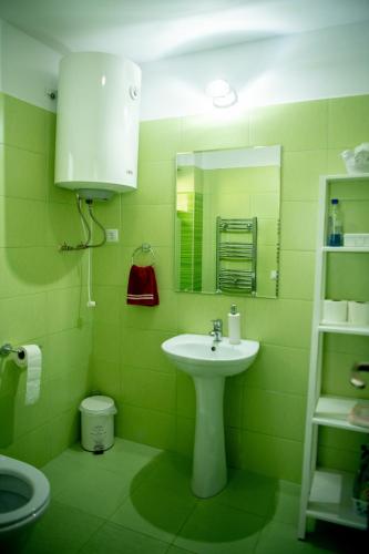 a green bathroom with a sink and a mirror at Casa Valea Prejbei in Rau Sadului