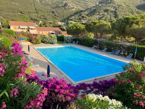 Kolam renang di atau dekat dengan Cala Rossa 40 Pool & Relax - Goelba