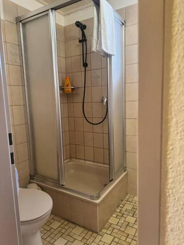 a bathroom with a shower and a toilet at Landhotel Waldschänke in Berlin