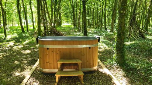 Foto dalla galleria di Le Domaine Insolite de Brocéliande a Paimpont