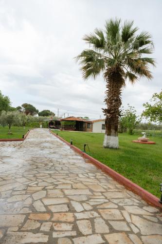 Evdokia's House