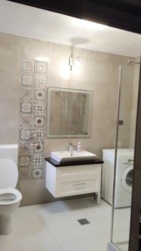a bathroom with a sink and a toilet and a mirror at Casa Noastră in Vidra