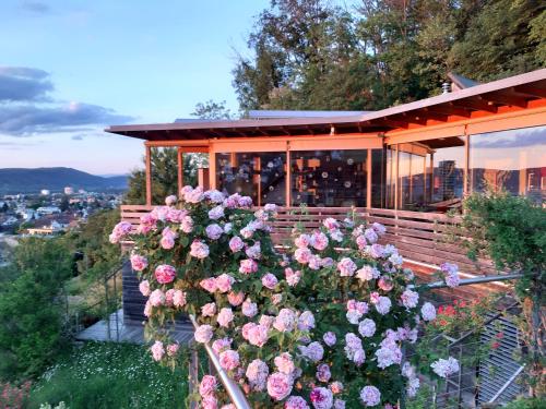 a building with a bunch of flowers on it at B&B Sunnesite Pratteln in Pratteln
