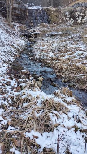 a stream in a field with snow on the ground at Casa Noastră in Vidra