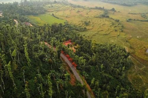 Phong cảnh thiên nhiên gần biệt thự