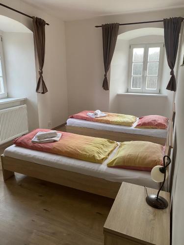 two beds in a room with two windows at Zámecký Dvůr Černousy in V Poli