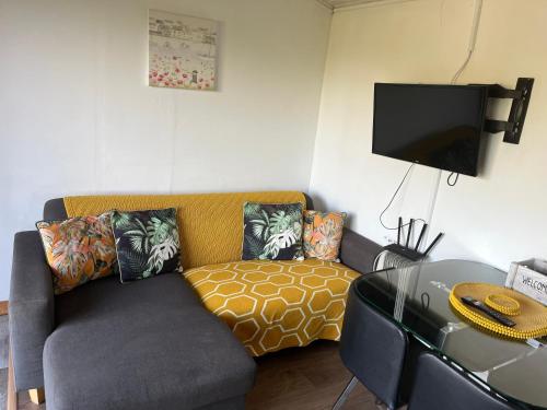 a living room with a couch and a flat screen tv at Tamarisk Cabin in Bude