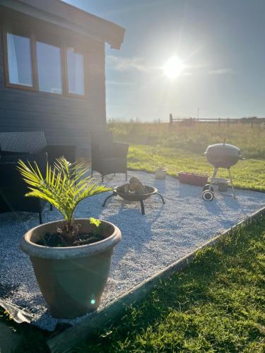 a backyard with a potted plant and a stroller at Tamarisk Cabin in Bude