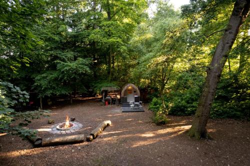 a campsite with a fire in the middle of a forest at Hollington Park Glamping in Newbury