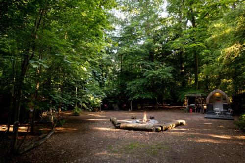 a fire pit in a park with a group of logs at Hollington Park Glamping in Newbury