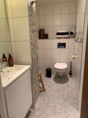 a small bathroom with a toilet and a sink at Central and modern apartment in Hamar