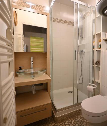 une salle de bain avec une douche, un lavabo et des toilettes dans l'établissement LE COSY 73 - Proche plage et port de Granville, à Granville