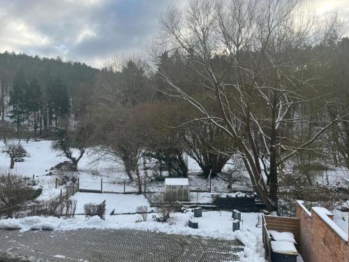 a snow covered yard with trees and a fence at Villa Regina Bad Freienwalde in Bad Freienwalde