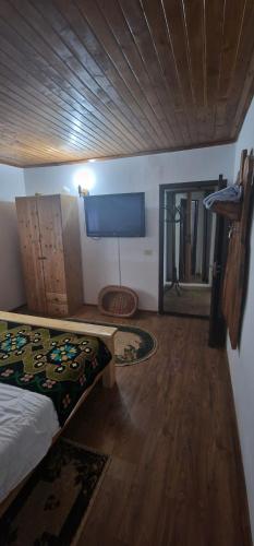 Μια τηλεόραση ή/και κέντρο ψυχαγωγίας στο Cabana Sebes Bera