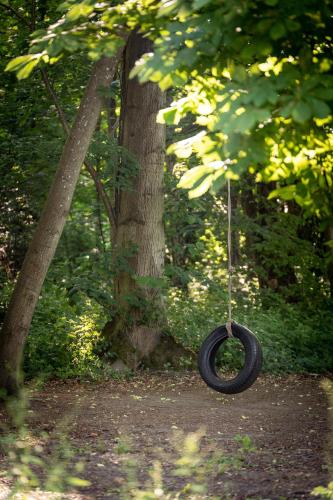 a tire swing hanging from a tree in a park at Hollington Park Glamping in Newbury
