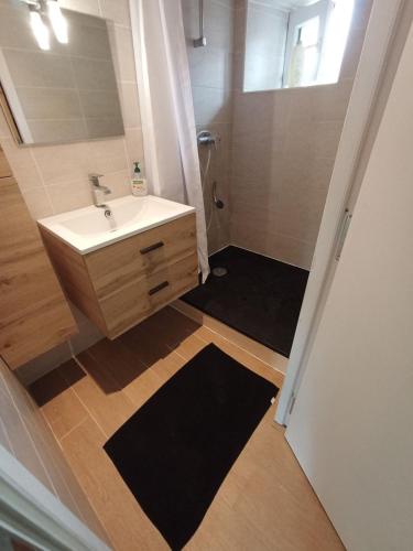 une salle de bain avec un lavabo et une douche avec un miroir dans l'établissement Appartement duplex centre historique, à Trévoux