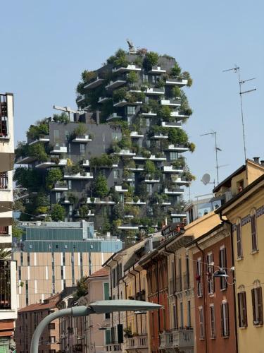 Isola Flat