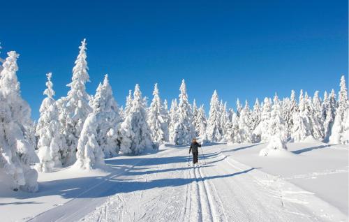 Το Ferienhauspark Hasselfelde τον χειμώνα