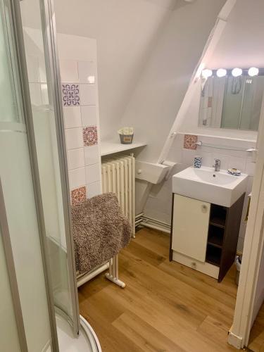 une petite salle de bain avec un lavabo et une douche dans l'établissement maison delalonde Autun centre appartement familial 7places, à Autun