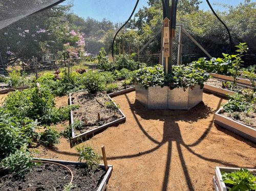 a garden with several plots of plants at Serene Studio Retreat in Cygnet with Private Entrance in Cygnet