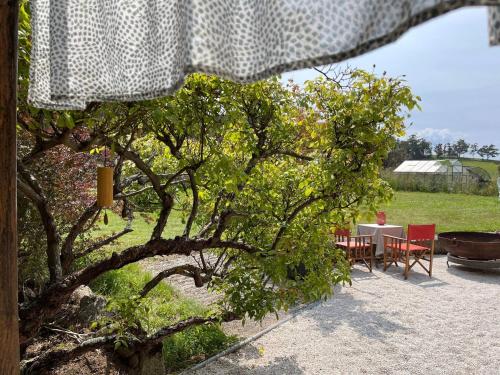 a patio with a table and chairs and a tree at Serene Studio Retreat in Cygnet with Private Entrance in Cygnet