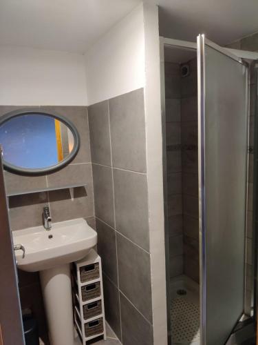 une salle de bain avec un lavabo et une douche dans l'établissement L'Escale -Domaine Des Boissons -, à Meursac