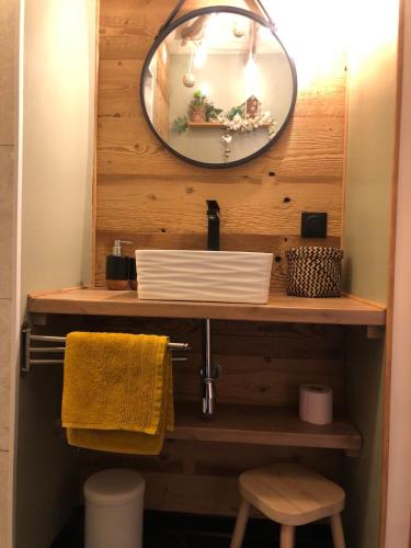 une salle de bain avec un lavabo et un miroir dans l'établissement 10 mns d'Obernai, Le Refuge du petit Lutin Vert, à Bœrsch