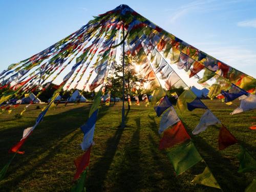 a bunch of kites on the grass in a field at Resort po.spolu in Mokrovraty