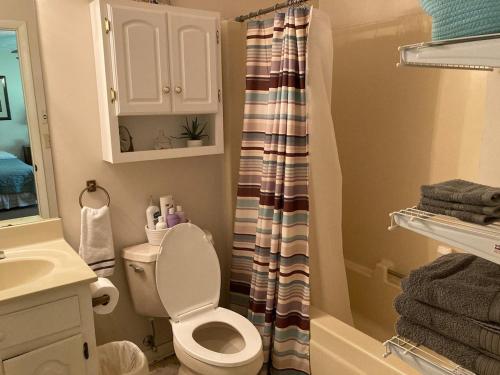 a bathroom with a toilet and a shower curtain at Rose's House in Lanett
